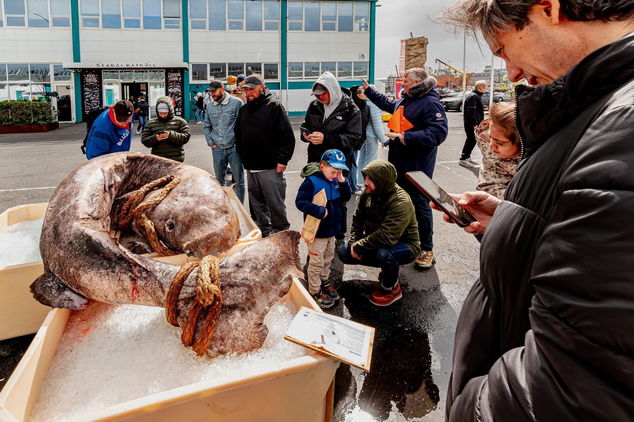 Furðufiskar image