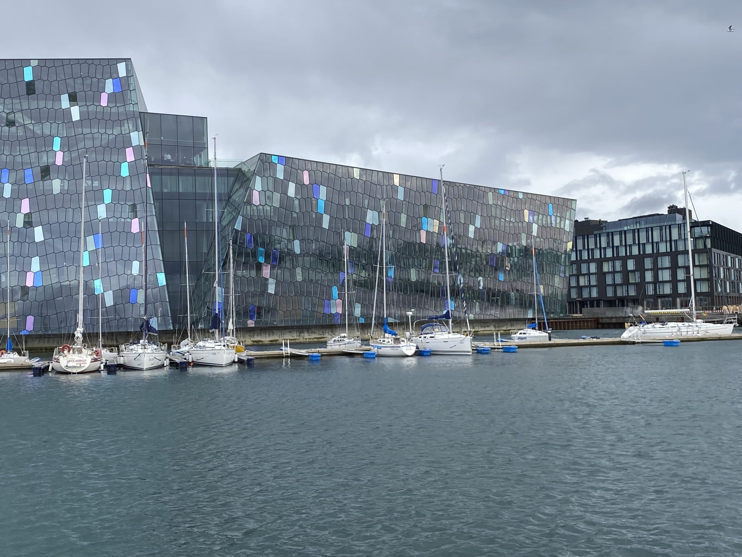 Brokey – Siglingafélag Reykjavíkur image